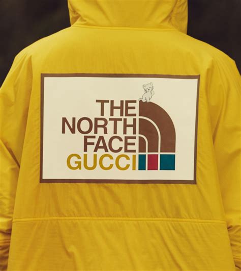 northface x gucci|Gucci X north face tracksuit.